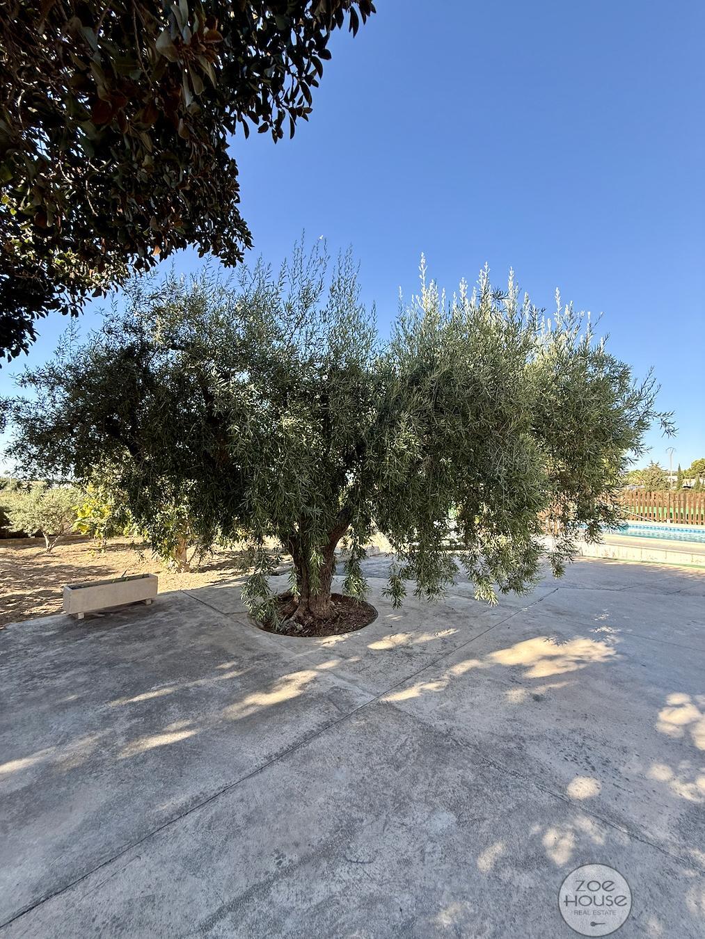 Venta de chalet en Elche-Elx