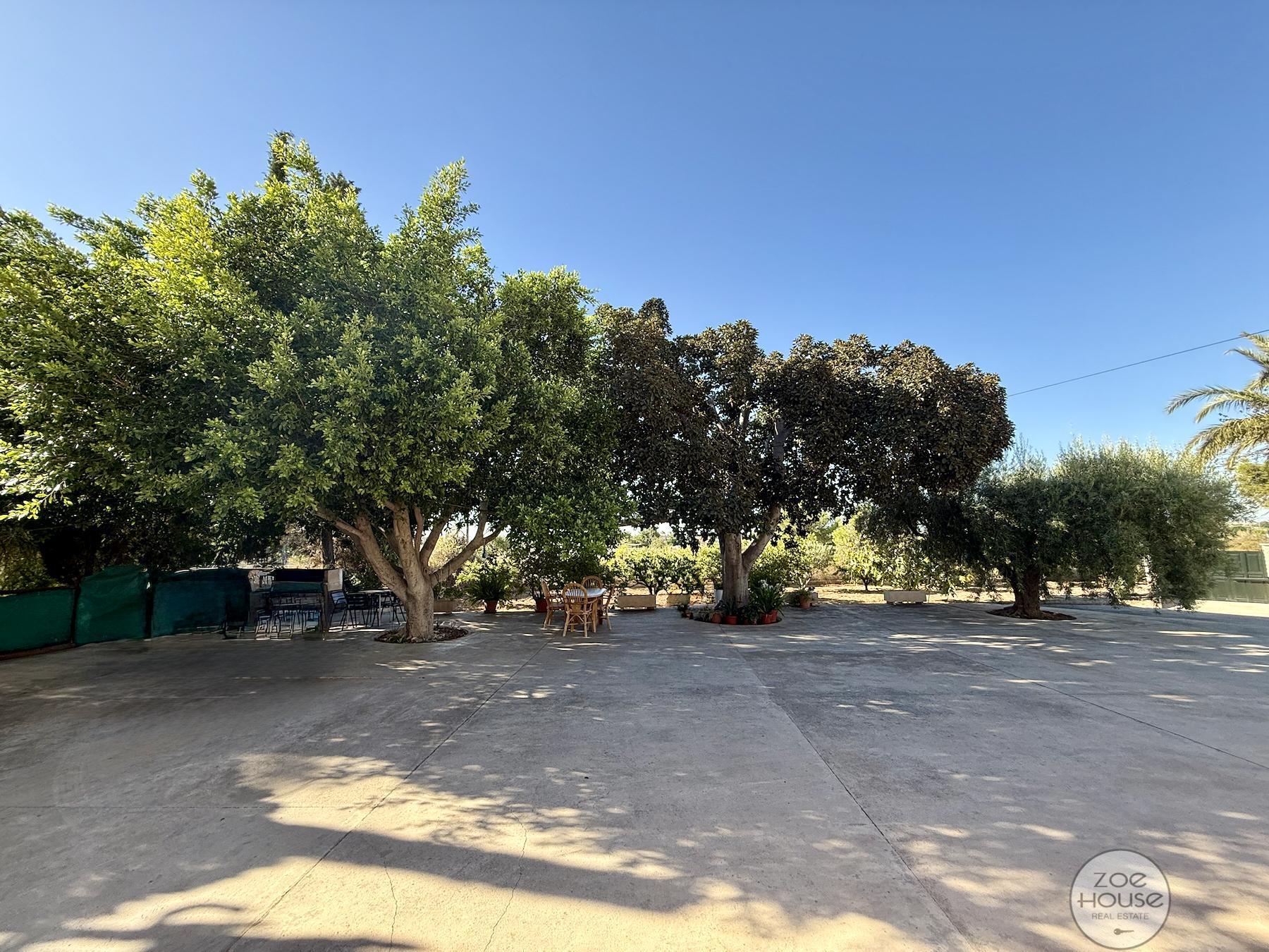 Venta de chalet en Elche-Elx