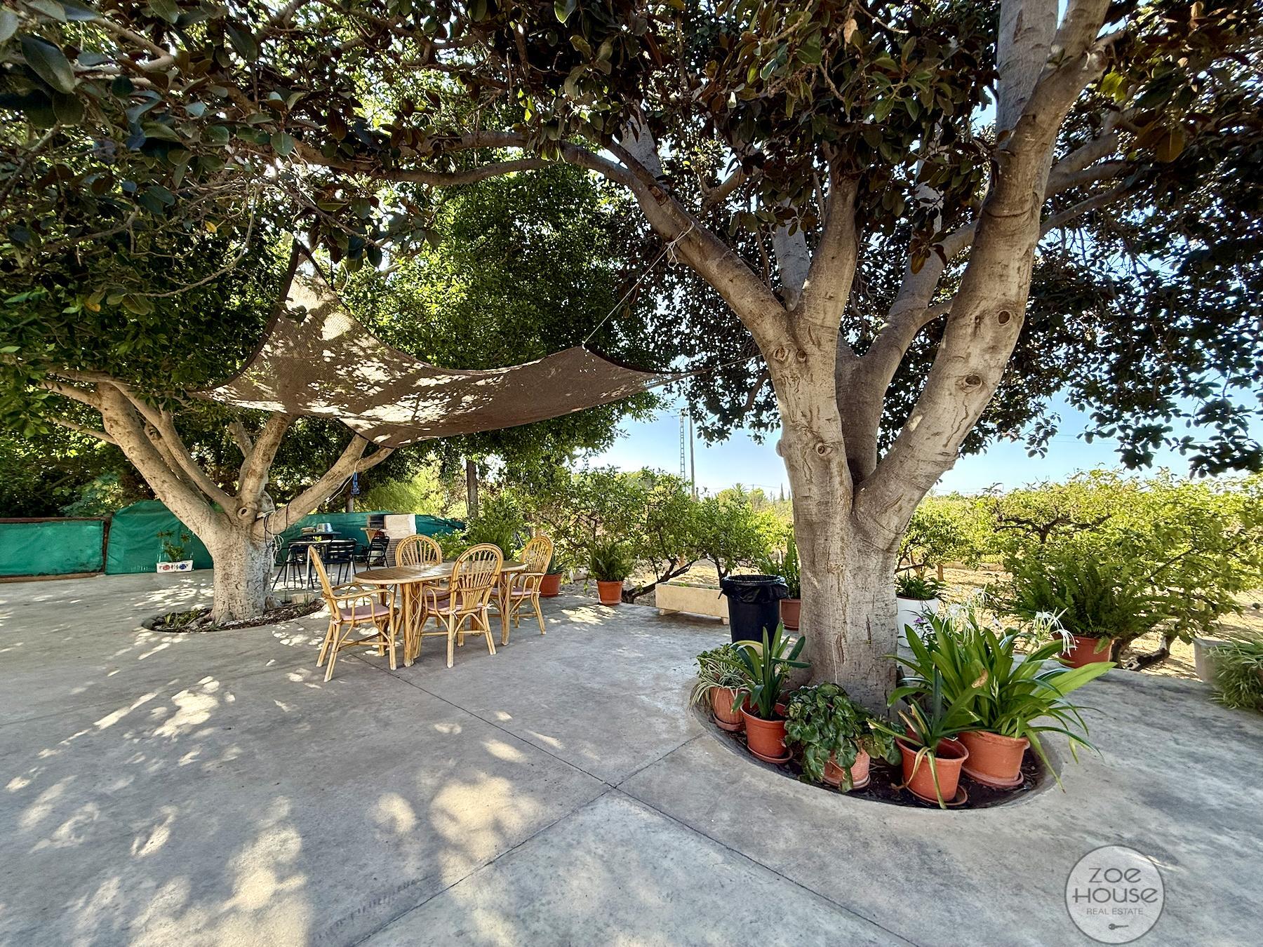Venta de chalet en Elche-Elx