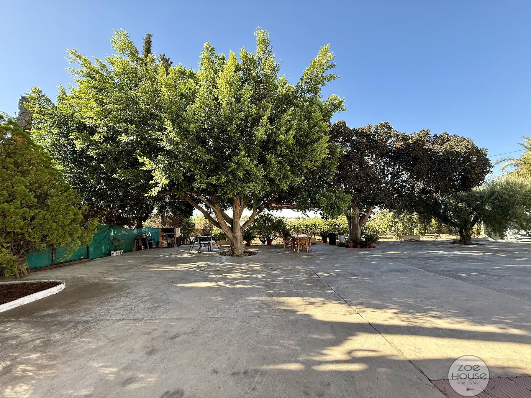 Venta de chalet en Elche-Elx