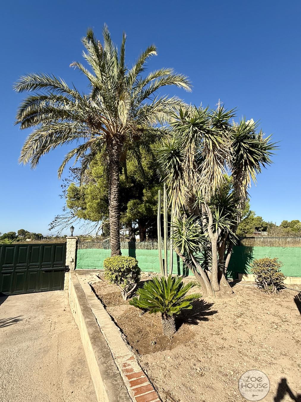 Venta de chalet en Elche-Elx