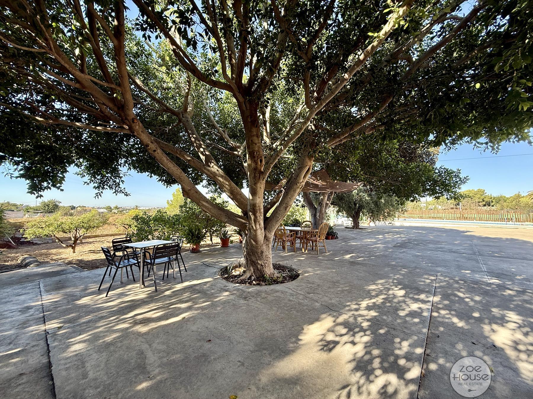Venta de chalet en Elche-Elx