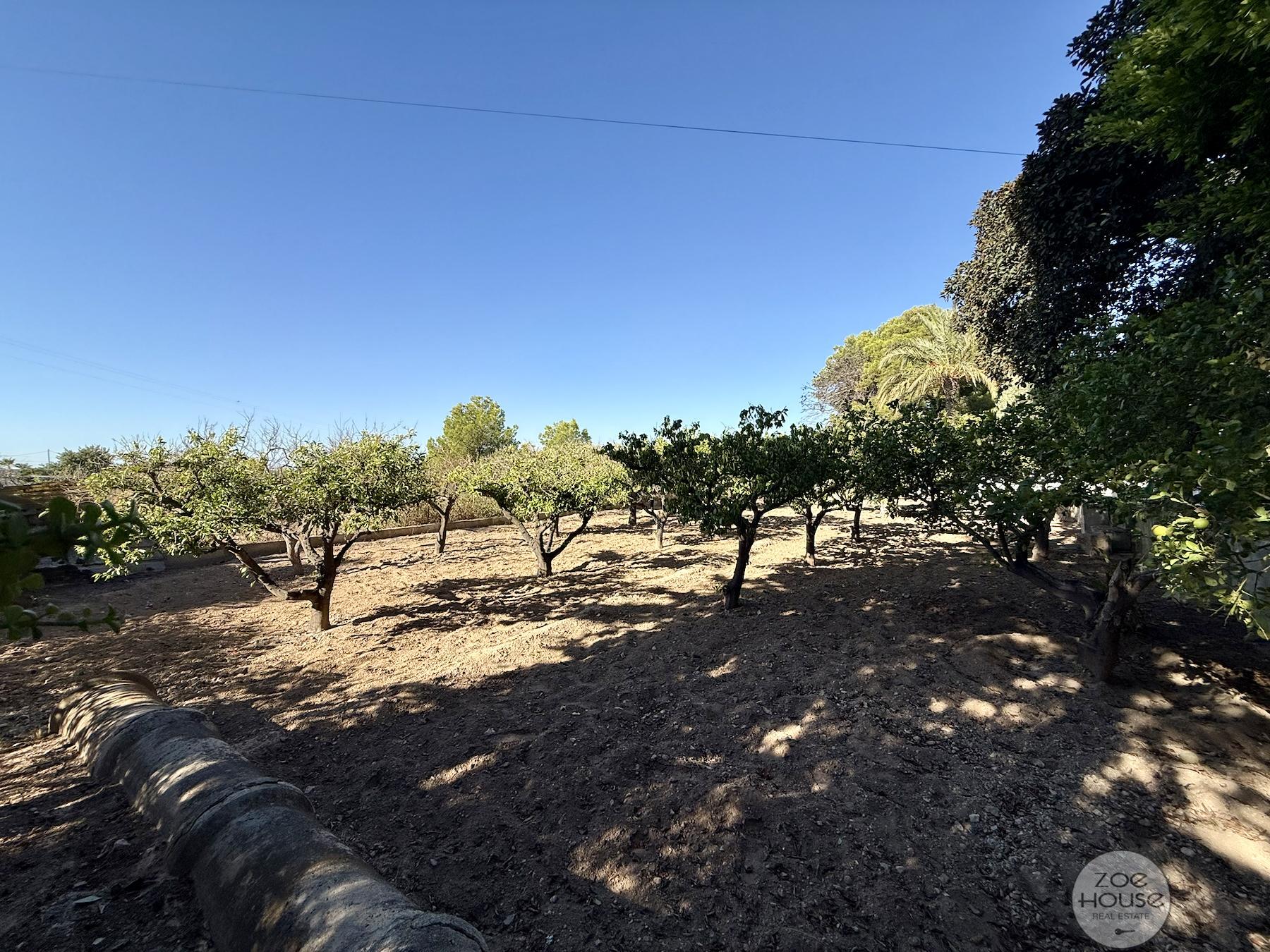 Venta de chalet en Elche-Elx