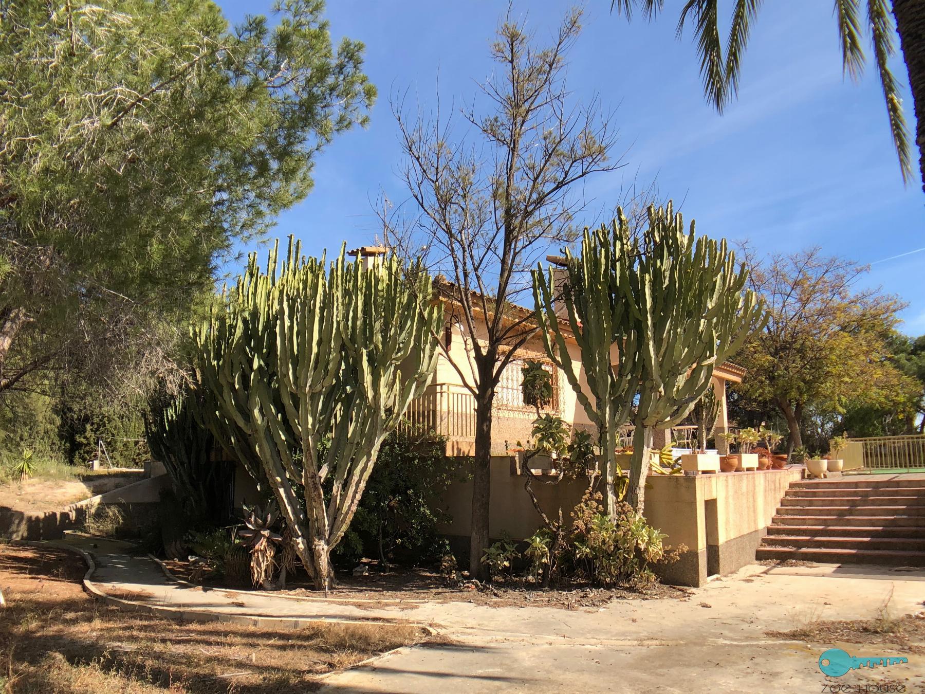 Venta de chalet en Elche-Elx