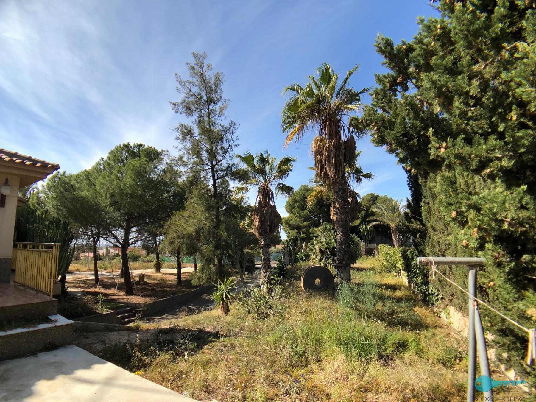 Venta de chalet en Elche-Elx