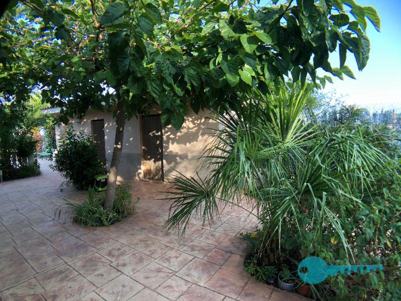 买卖 的 小屋 在 Elche-Elx