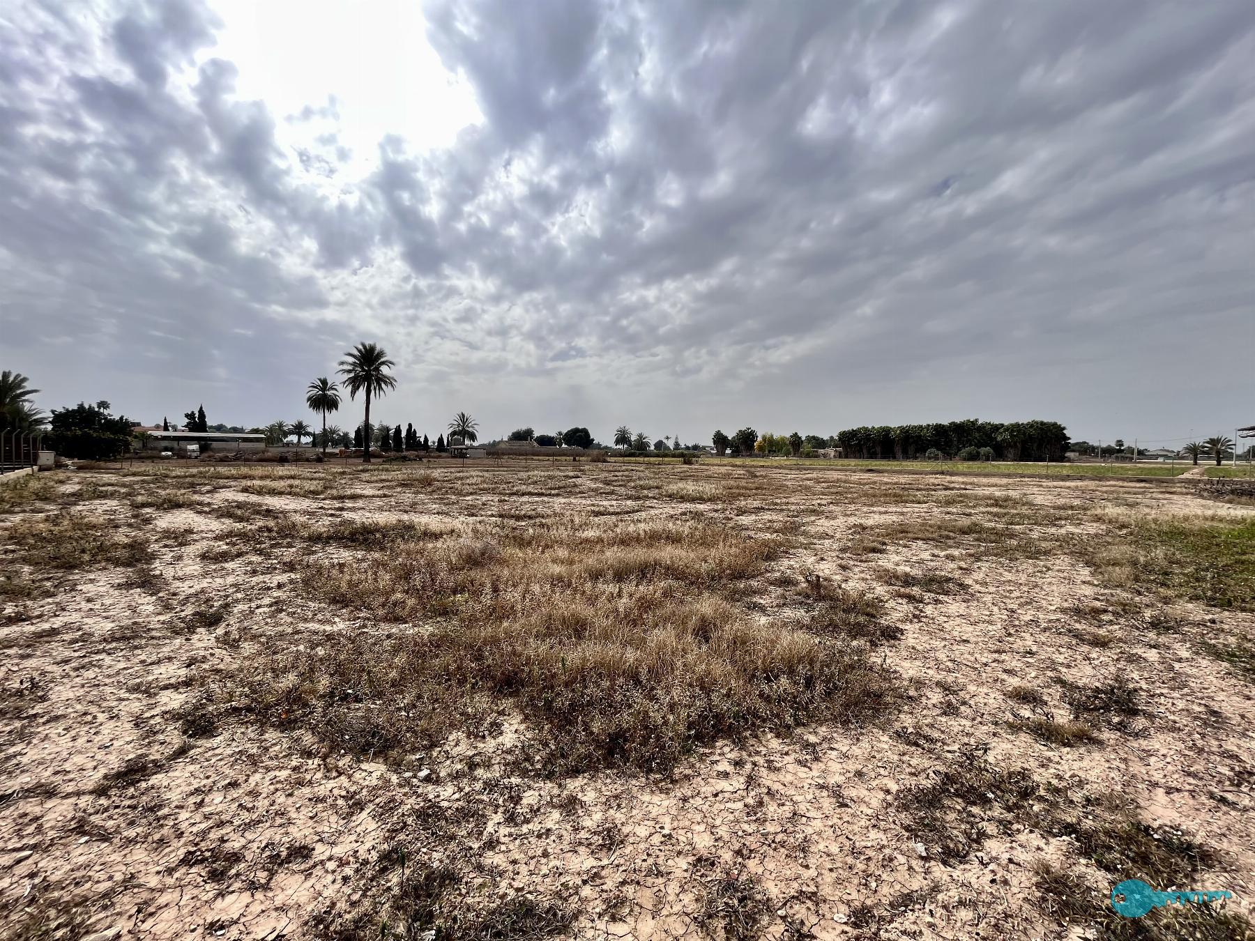 Zu verkaufen von haus in
 Elche-Elx