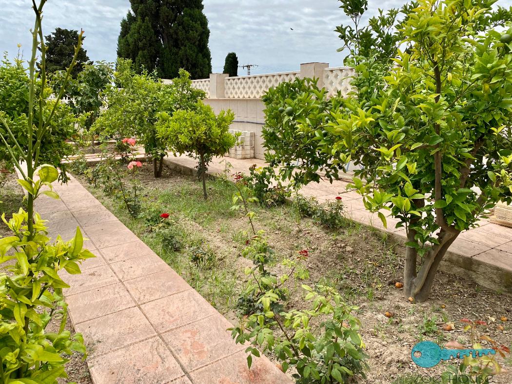 Giardino