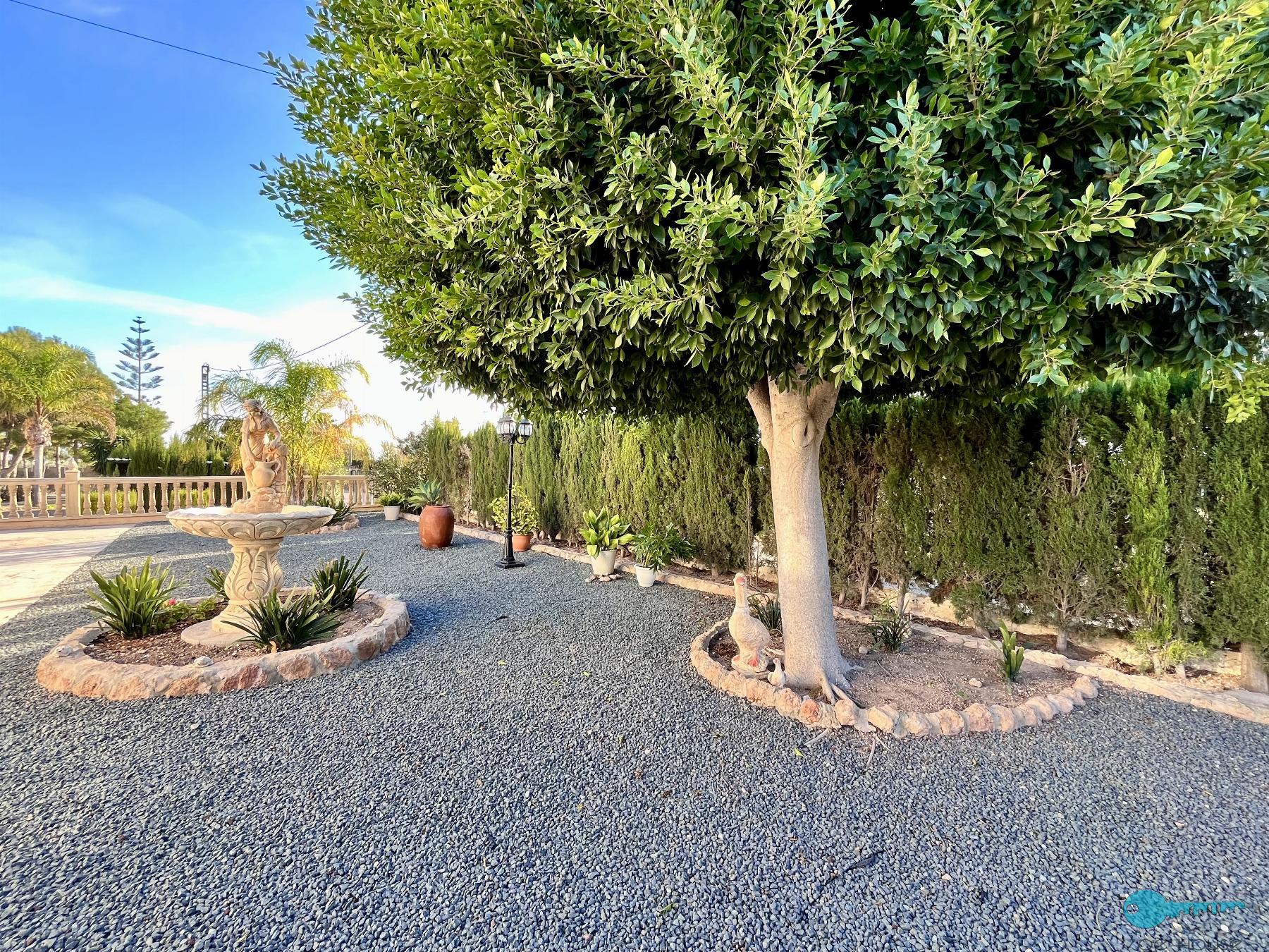 Jardin