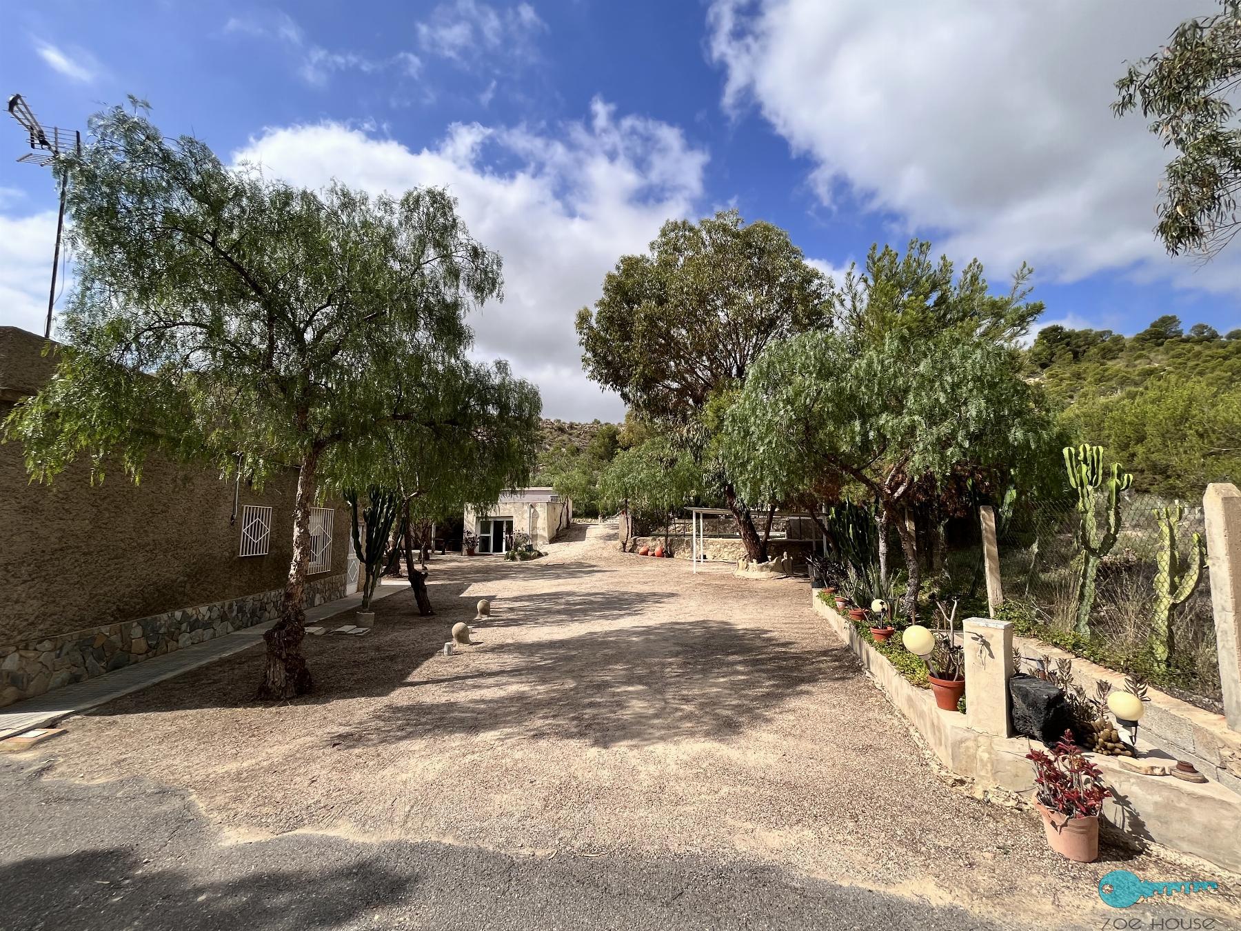 Giardino