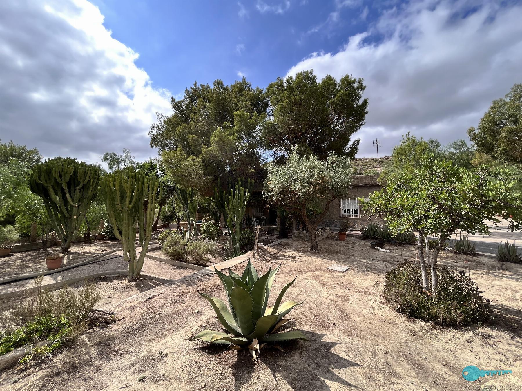Giardino