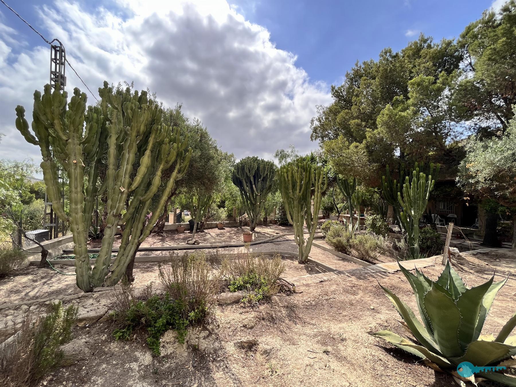 Giardino