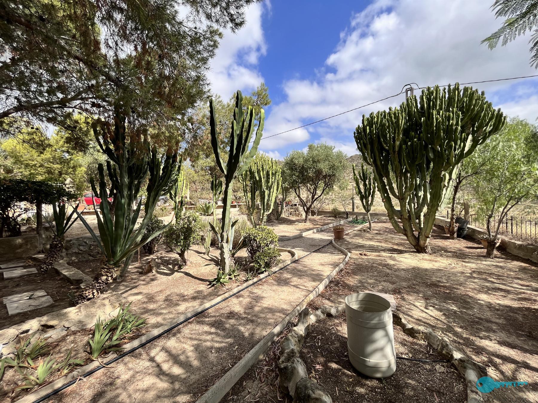 Giardino