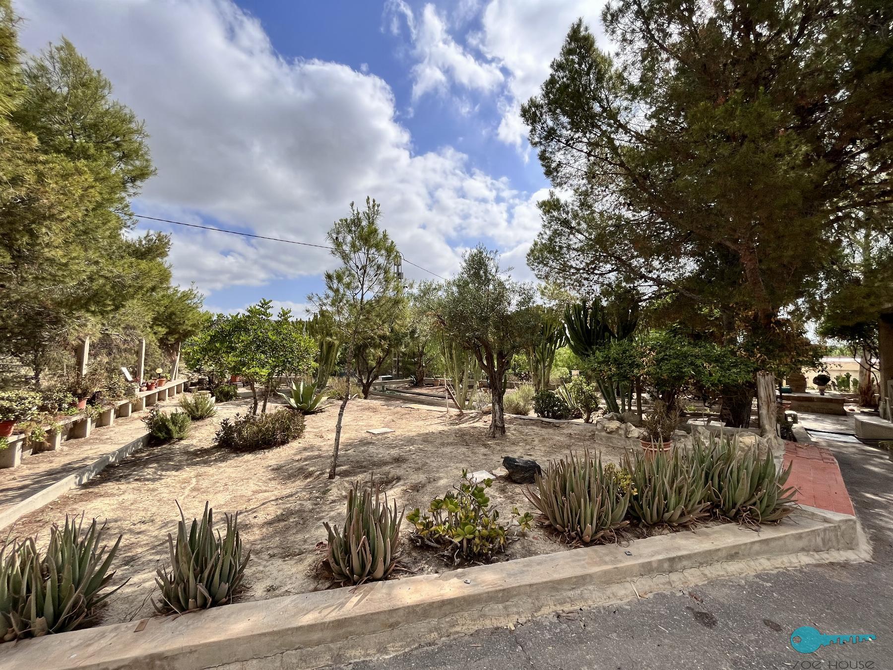 Giardino