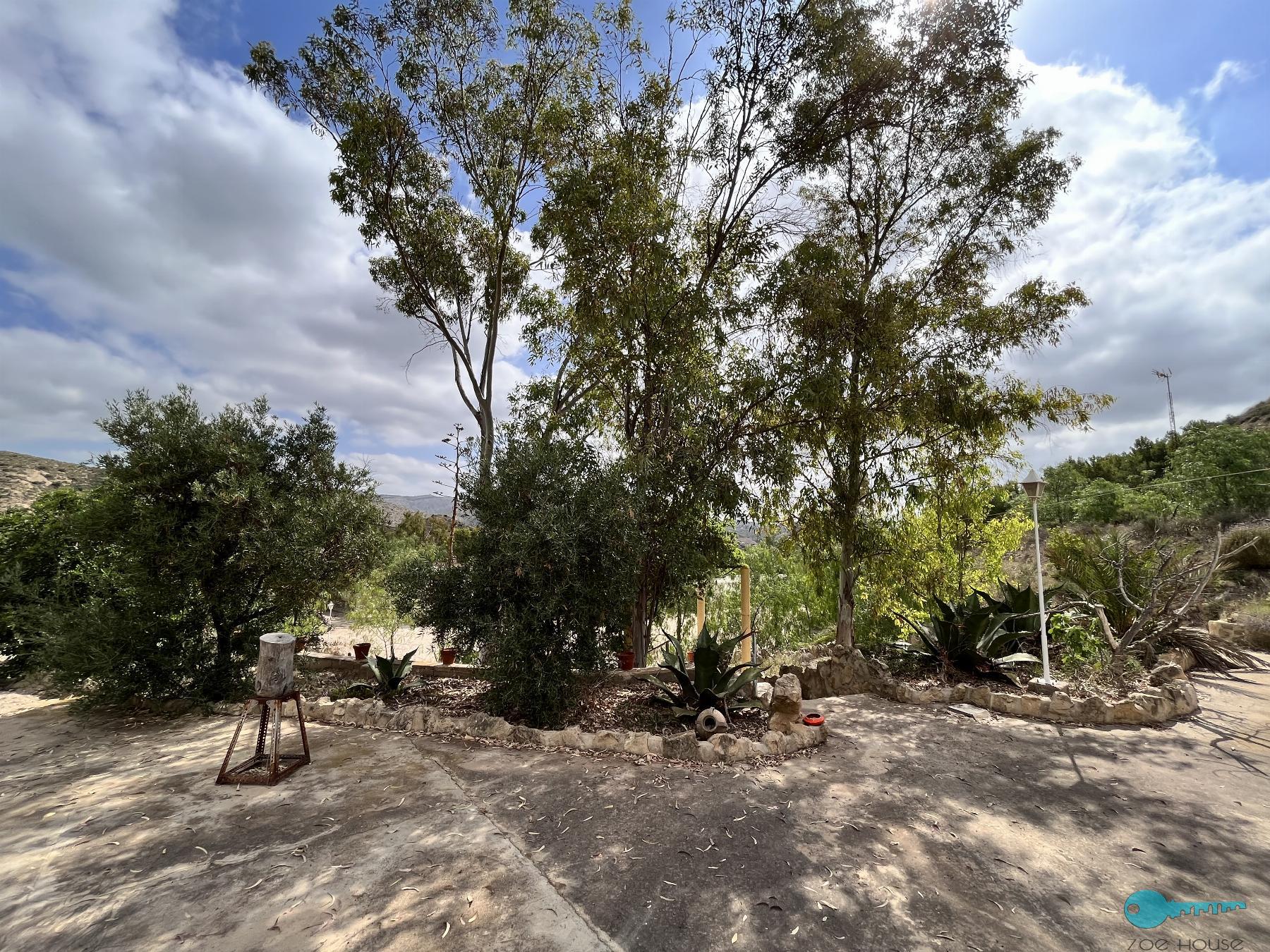 Giardino