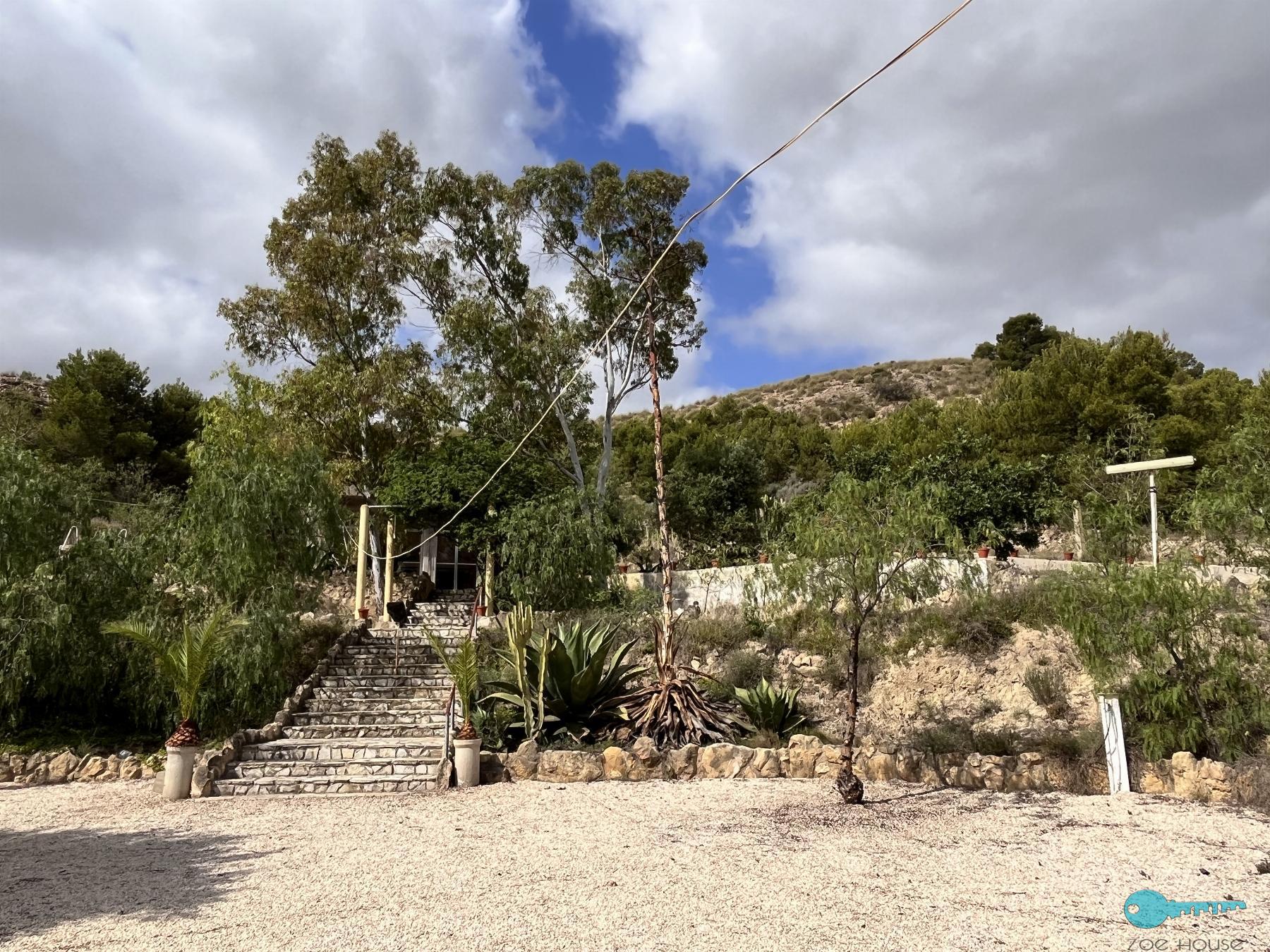Giardino