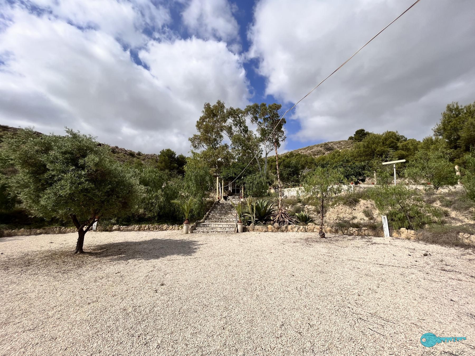 Giardino