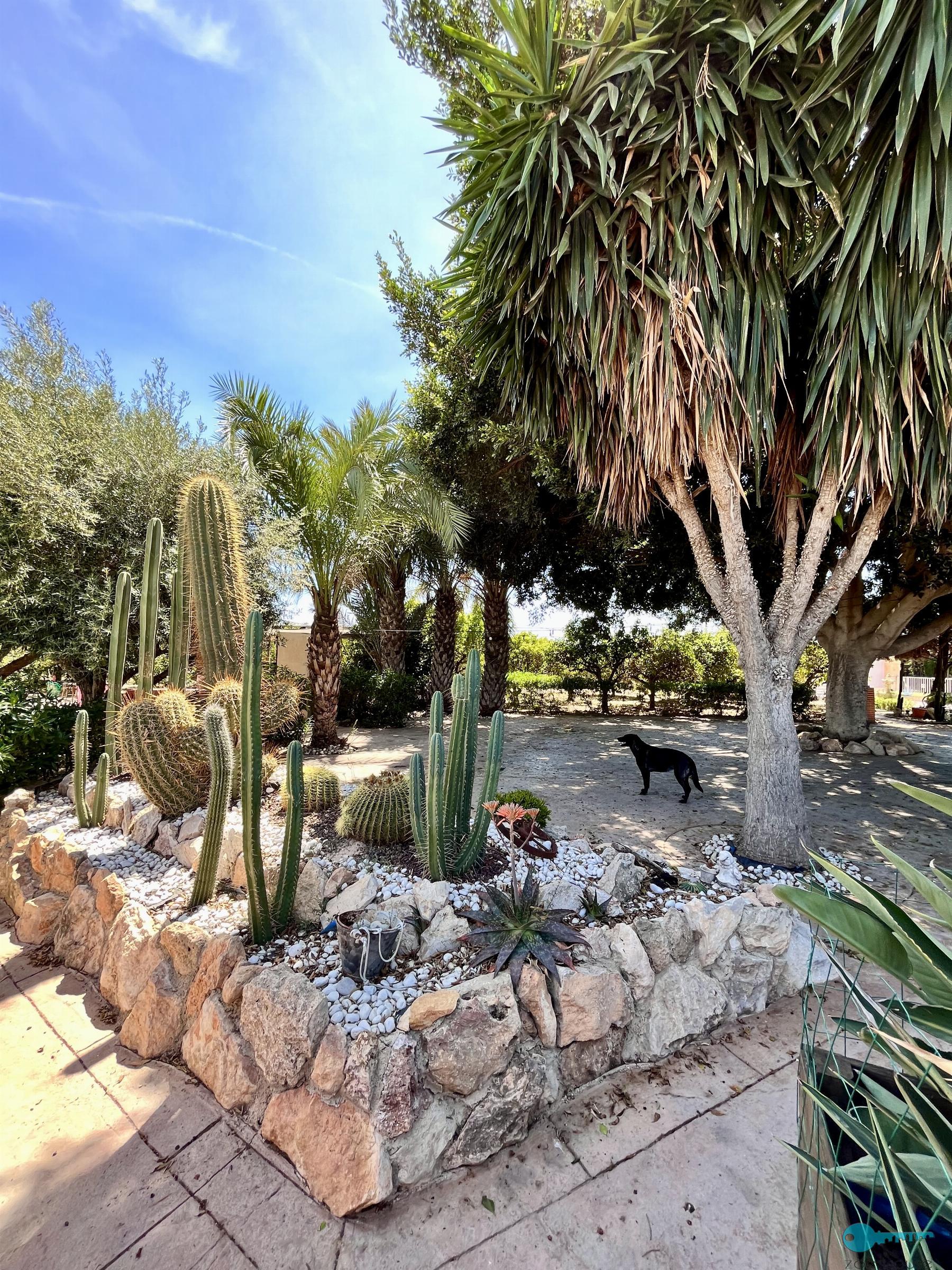 Giardino