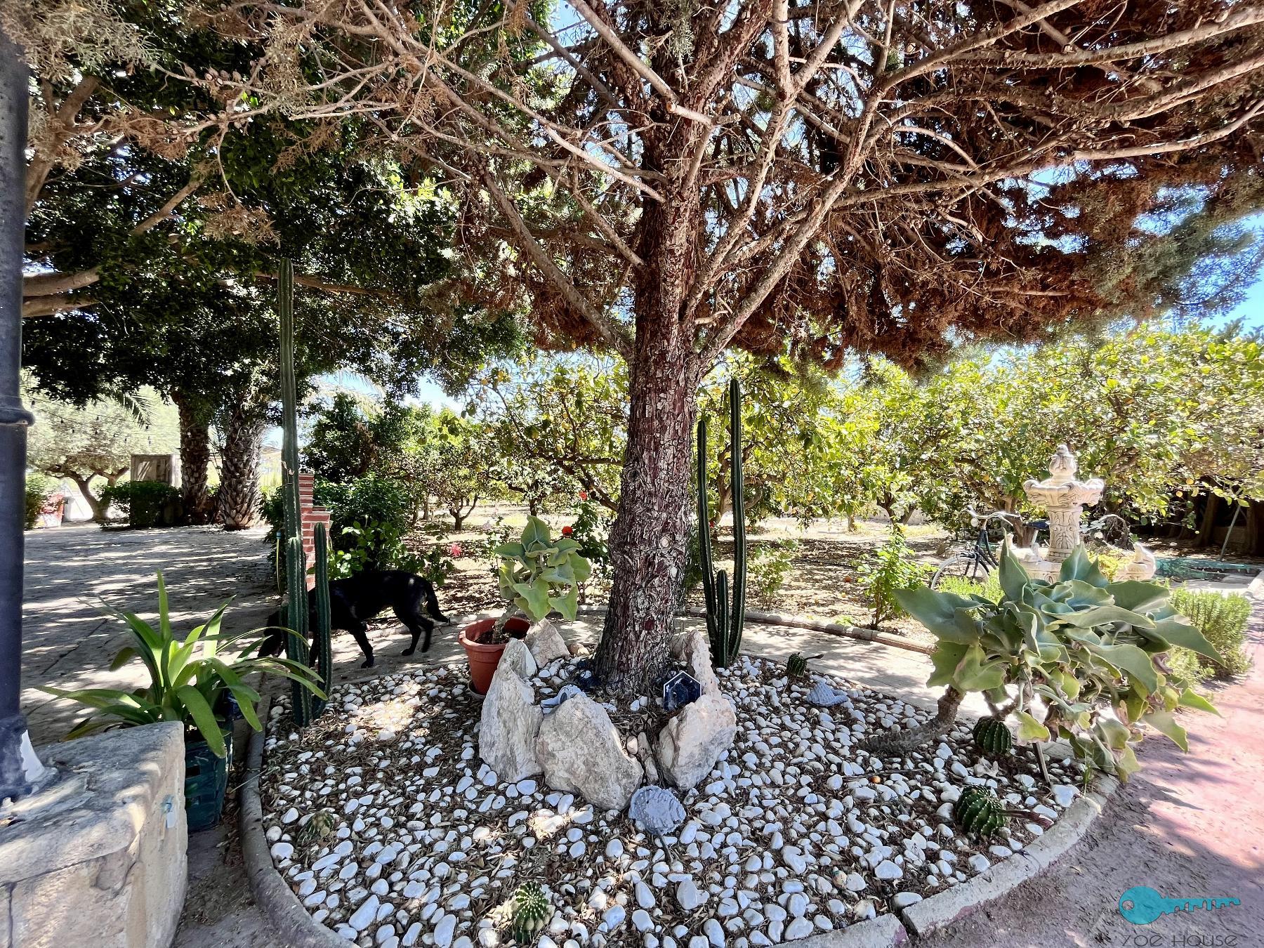 Giardino