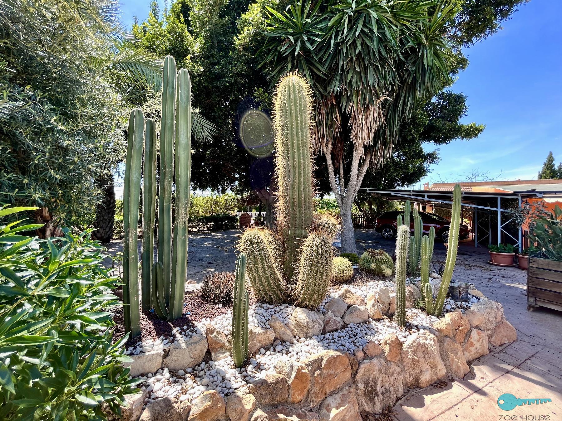 Giardino