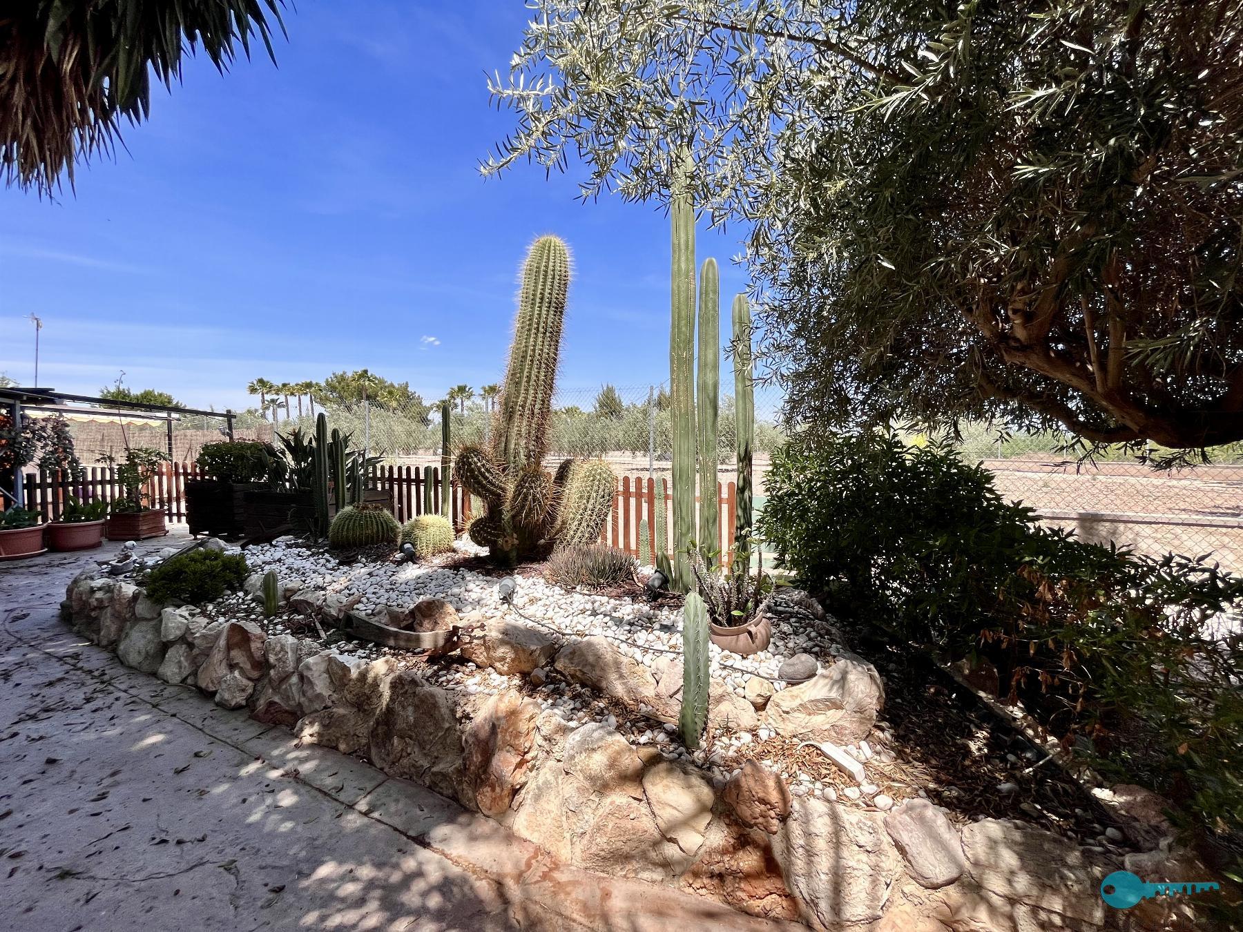 Giardino