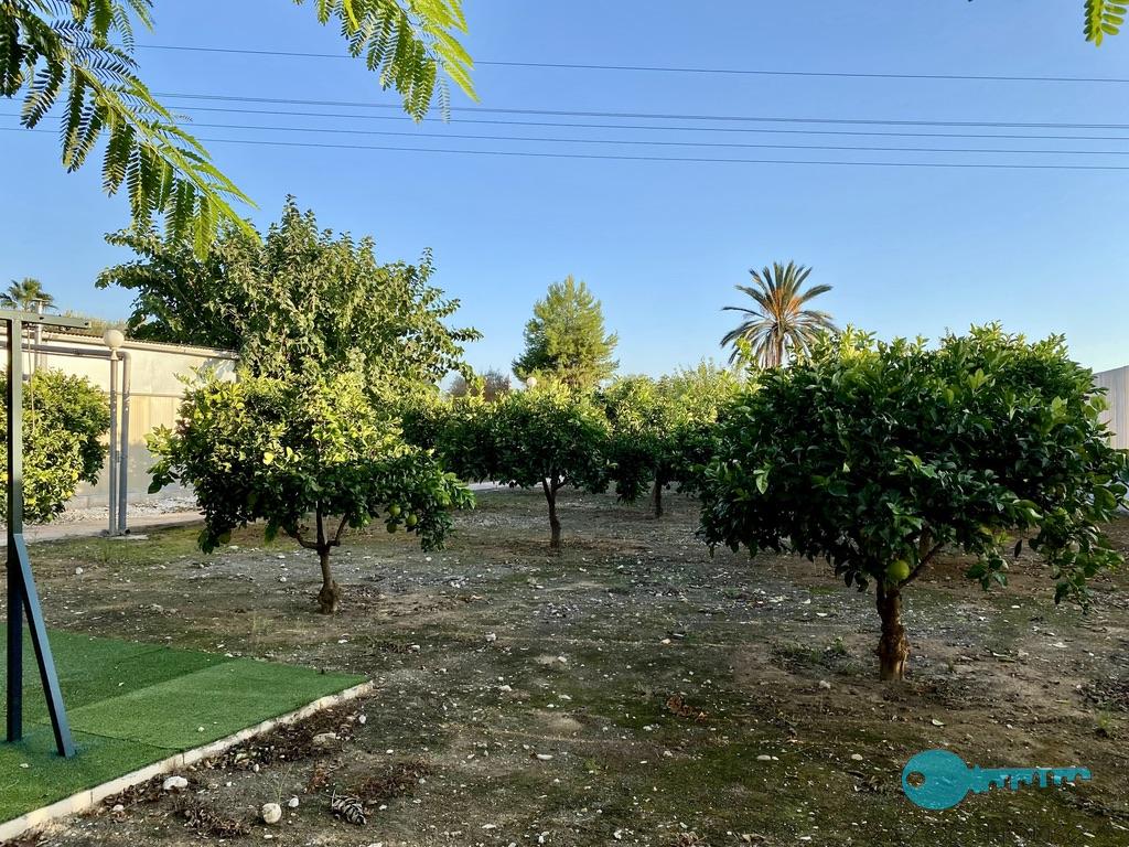For sale of chalet in Elche-Elx