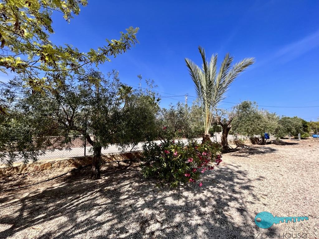 بيع من الشاليه في Elche-Elx