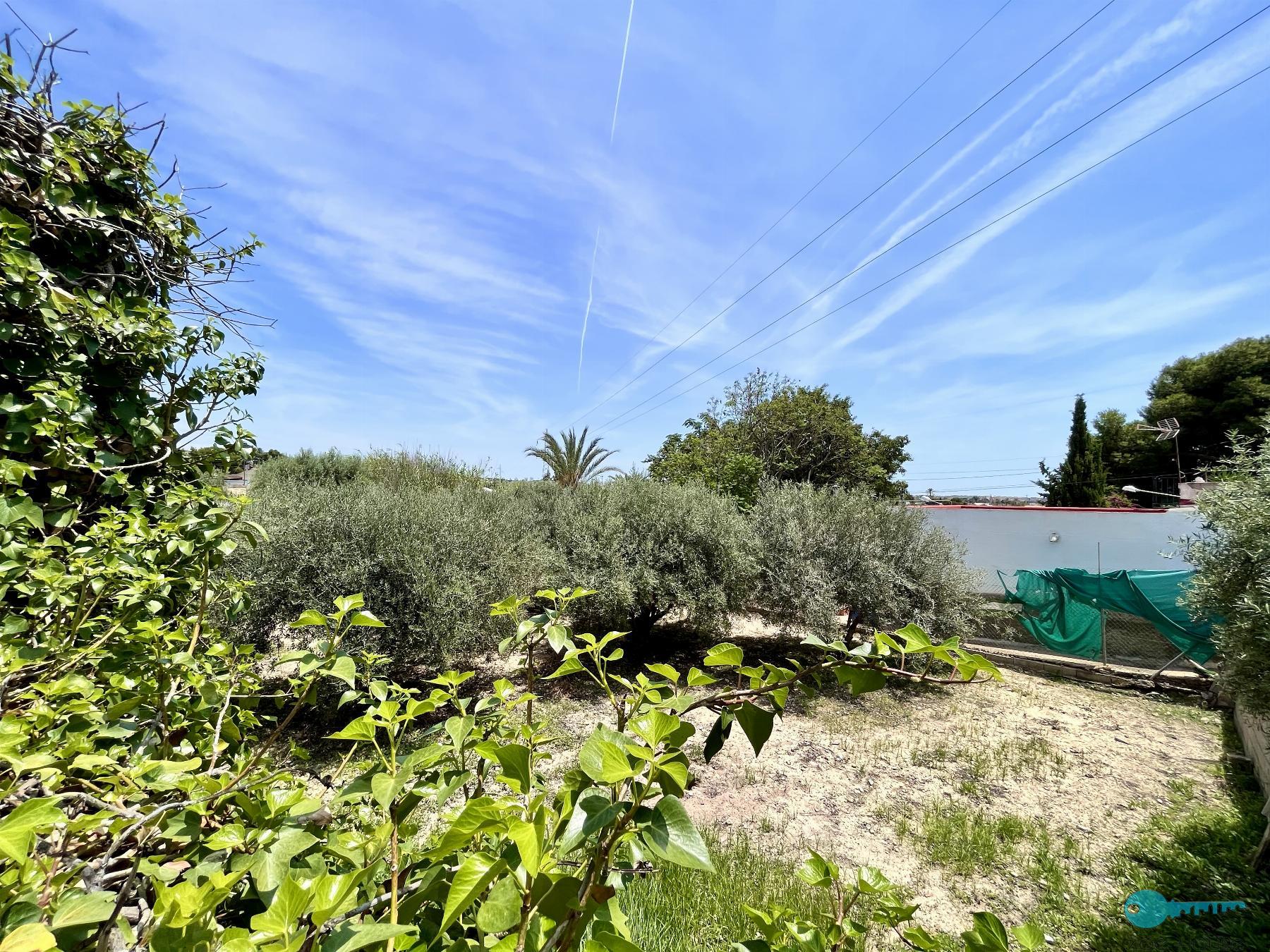 Land