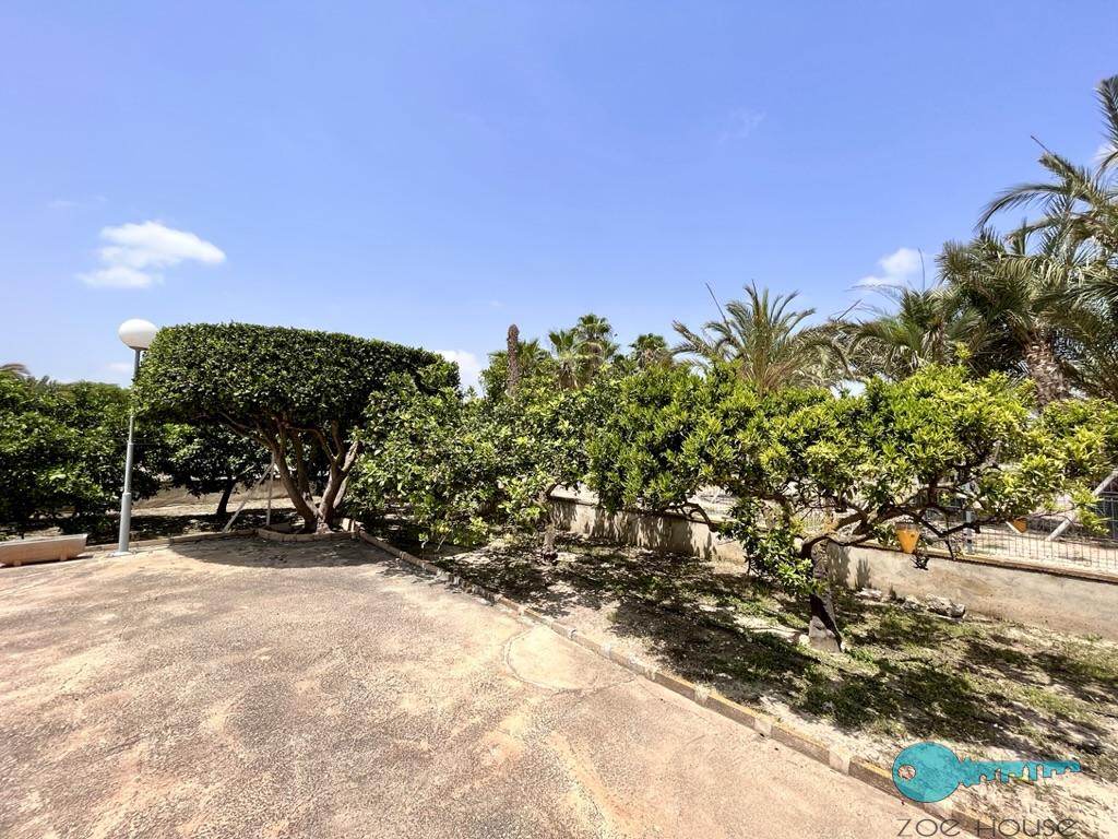 Jardín