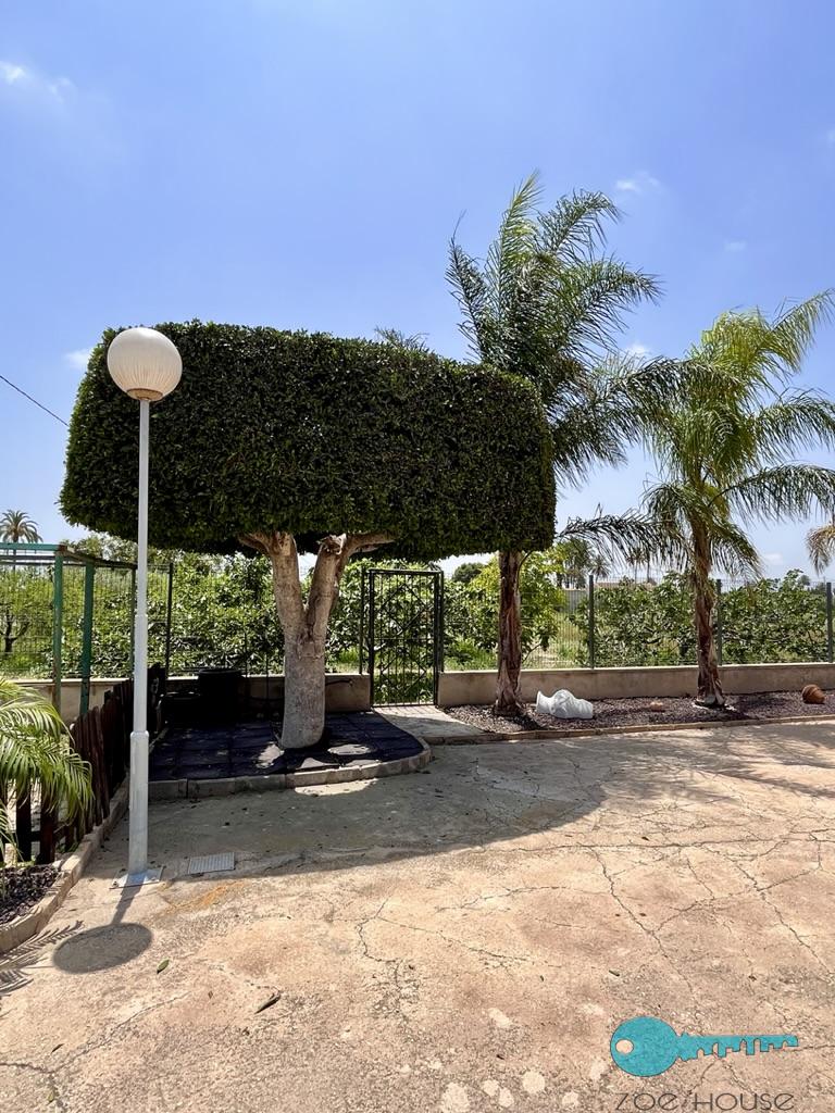 Jardín
