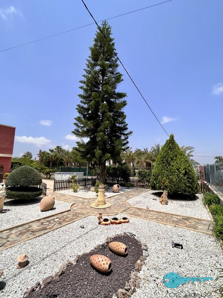 Jardín