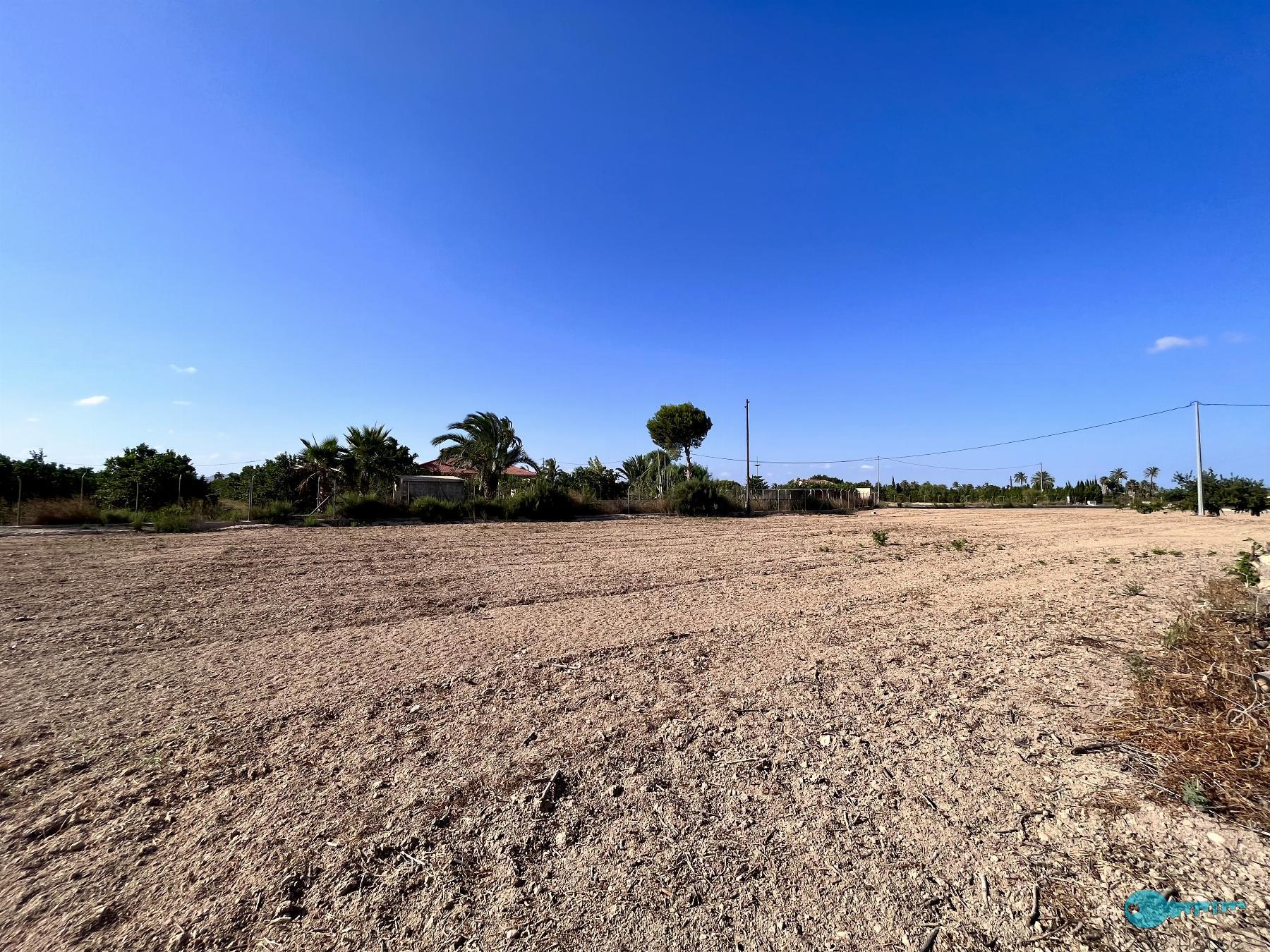 Ground