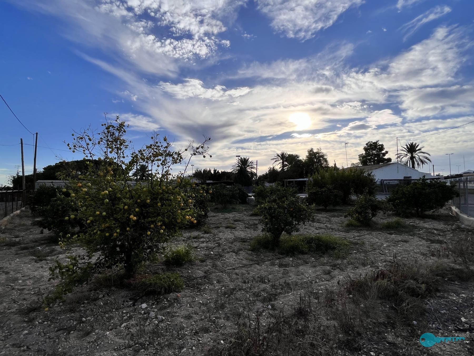 La terre