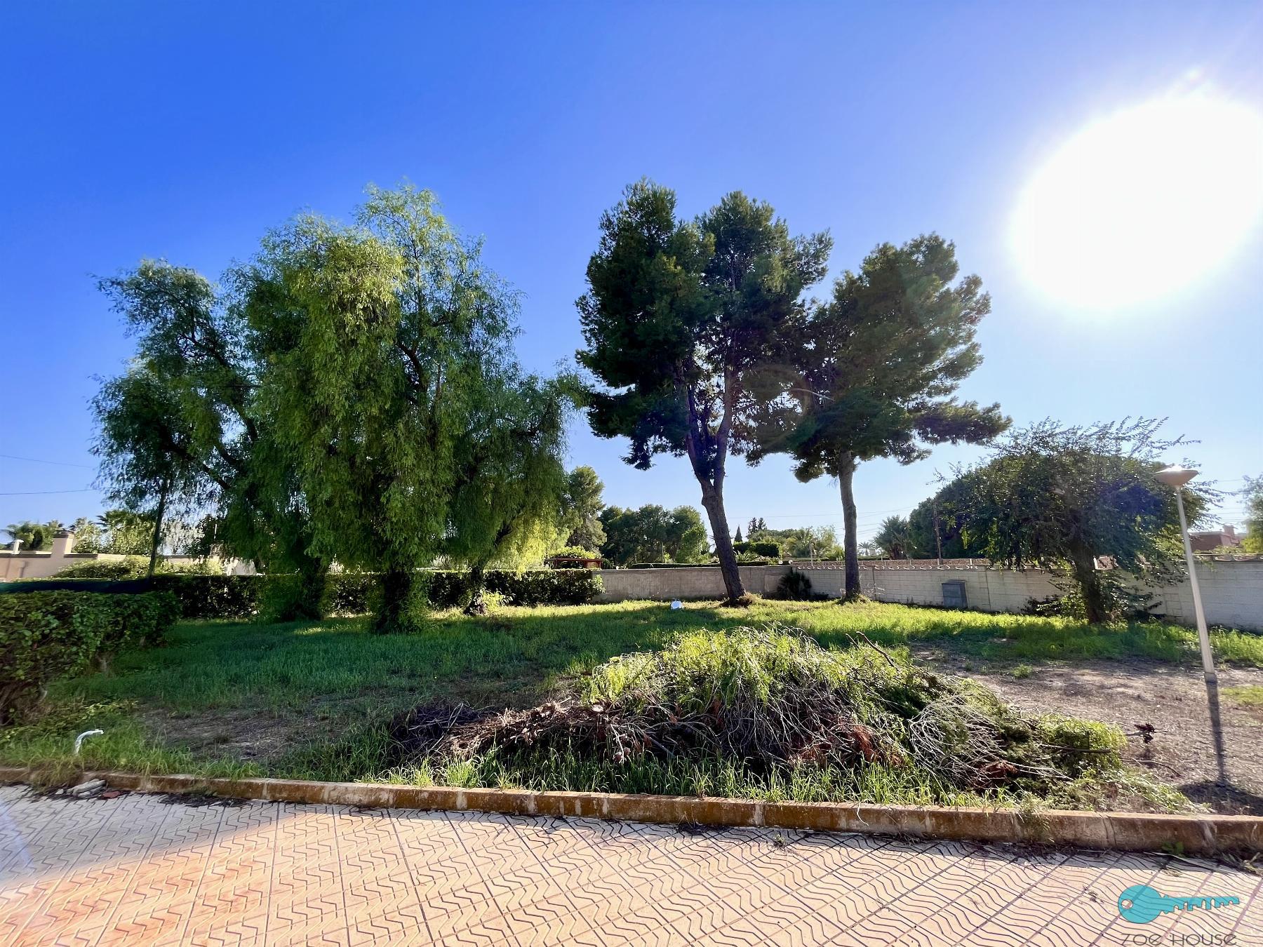 Jardín