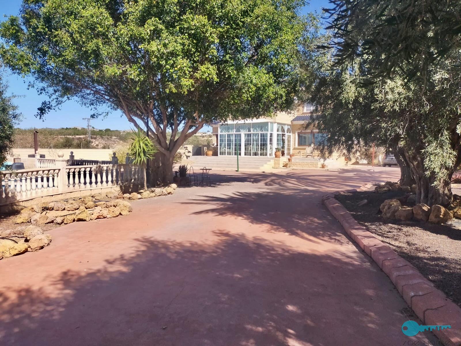 买卖 的 小屋 在 Elche-Elx