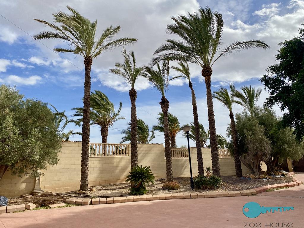 买卖 的 小屋 在 Elche-Elx