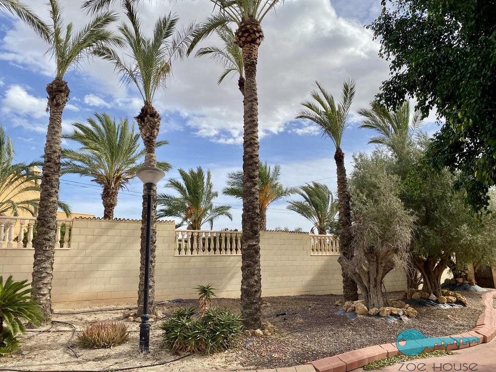 买卖 的 小屋 在 Elche-Elx