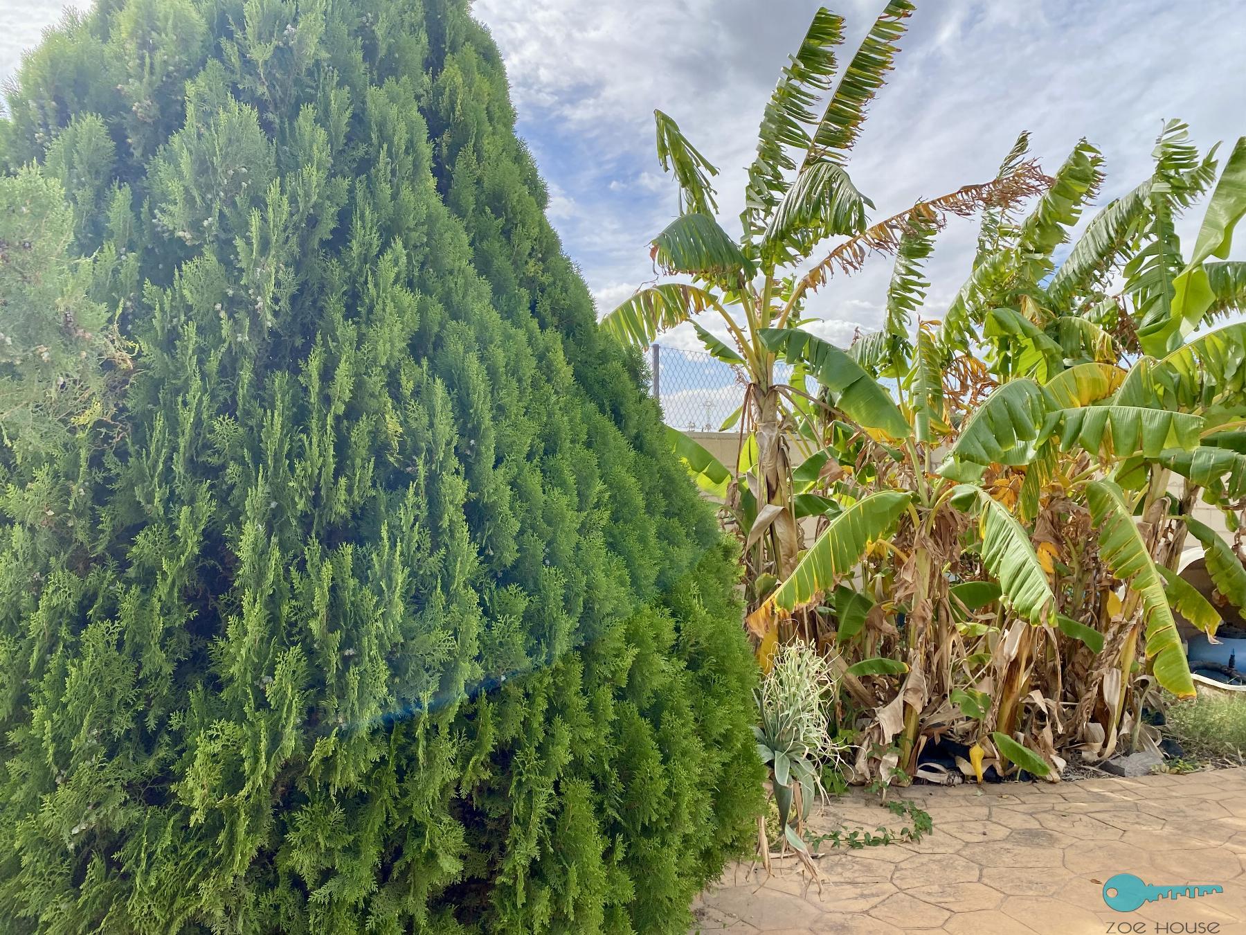买卖 的 小屋 在 Elche-Elx