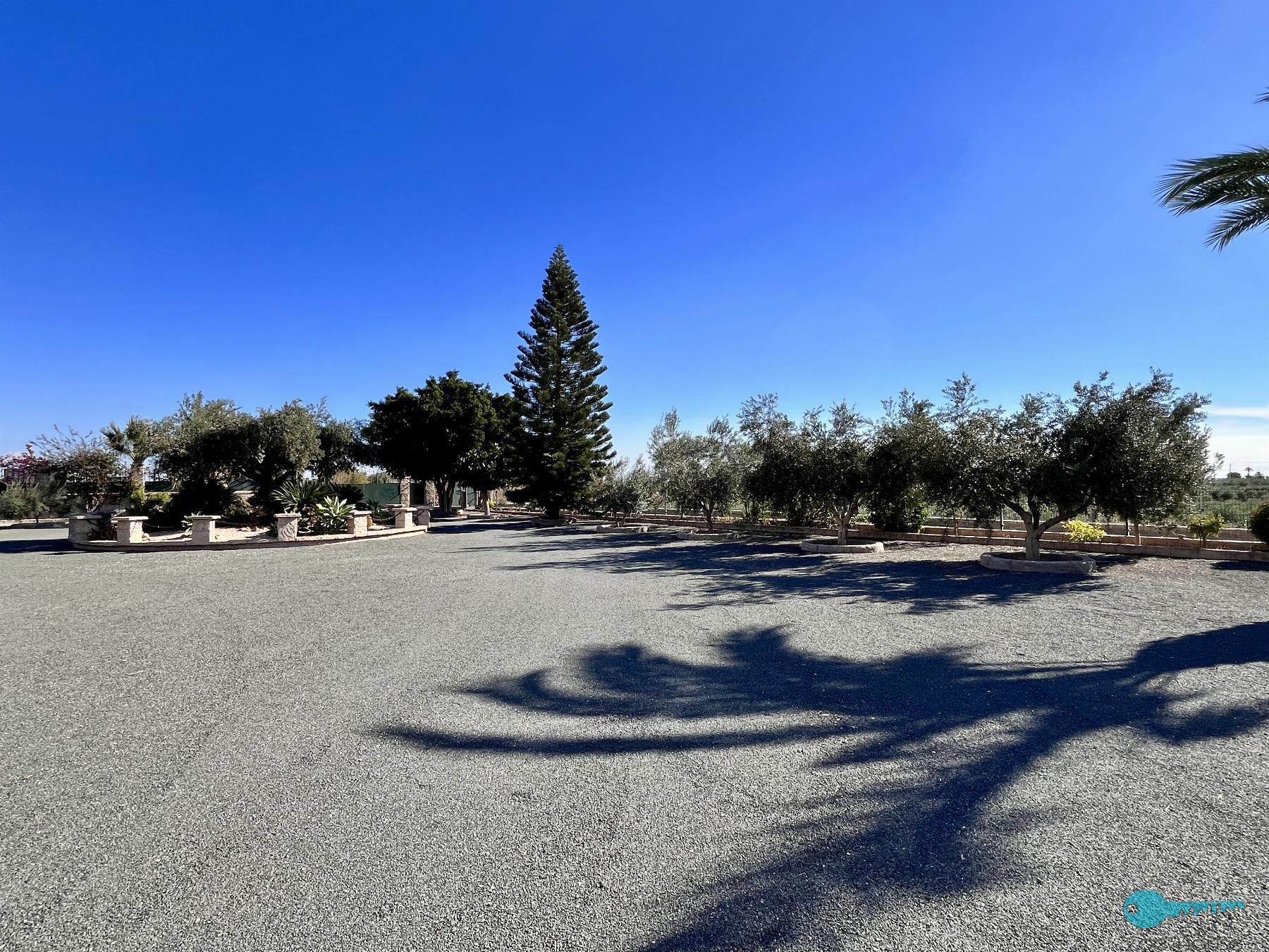 حديقة