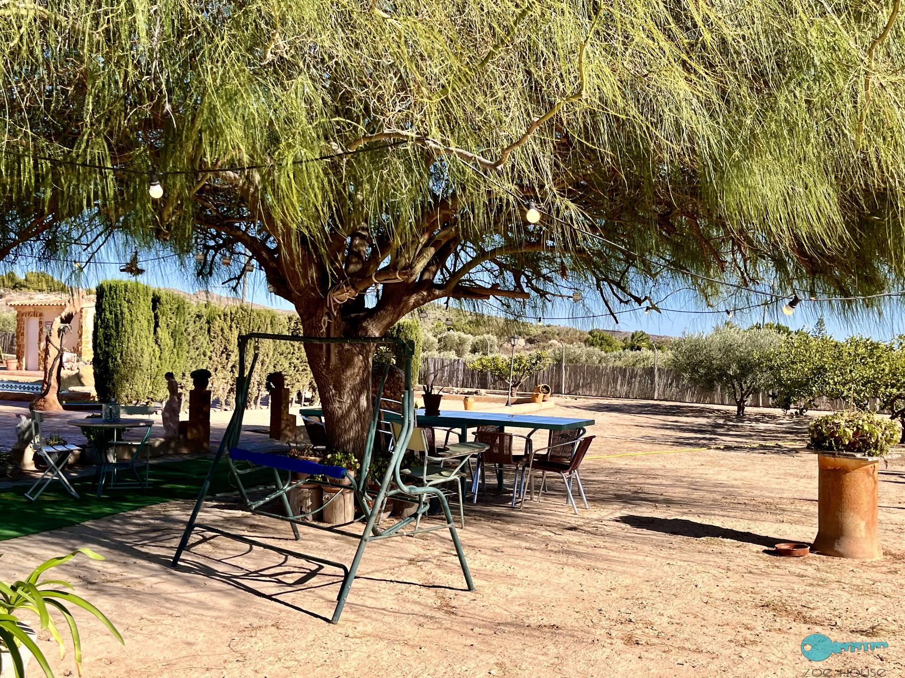 Giardino