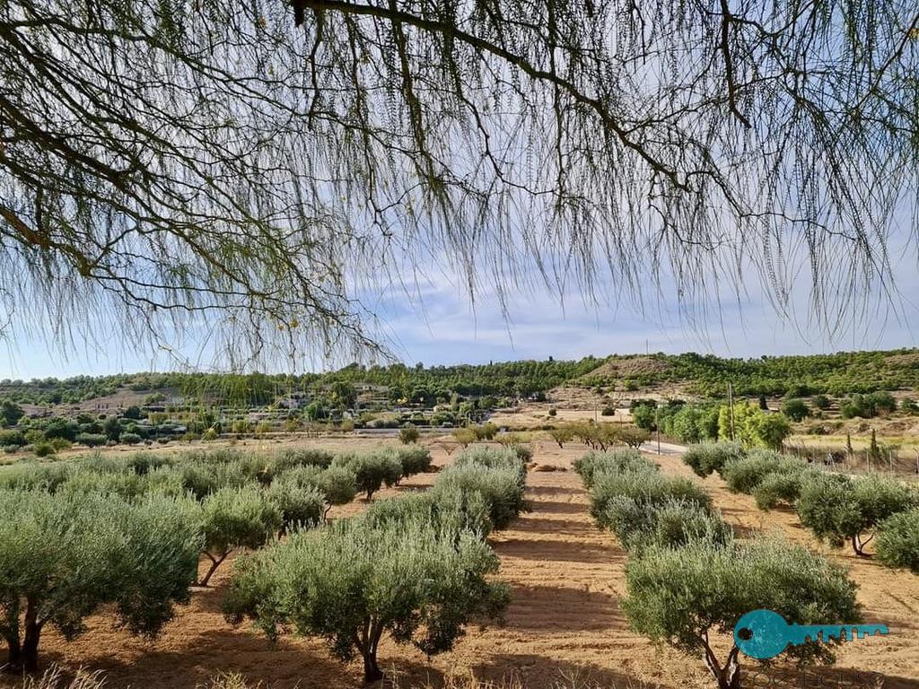 Vendita di chalet in Elche-Elx