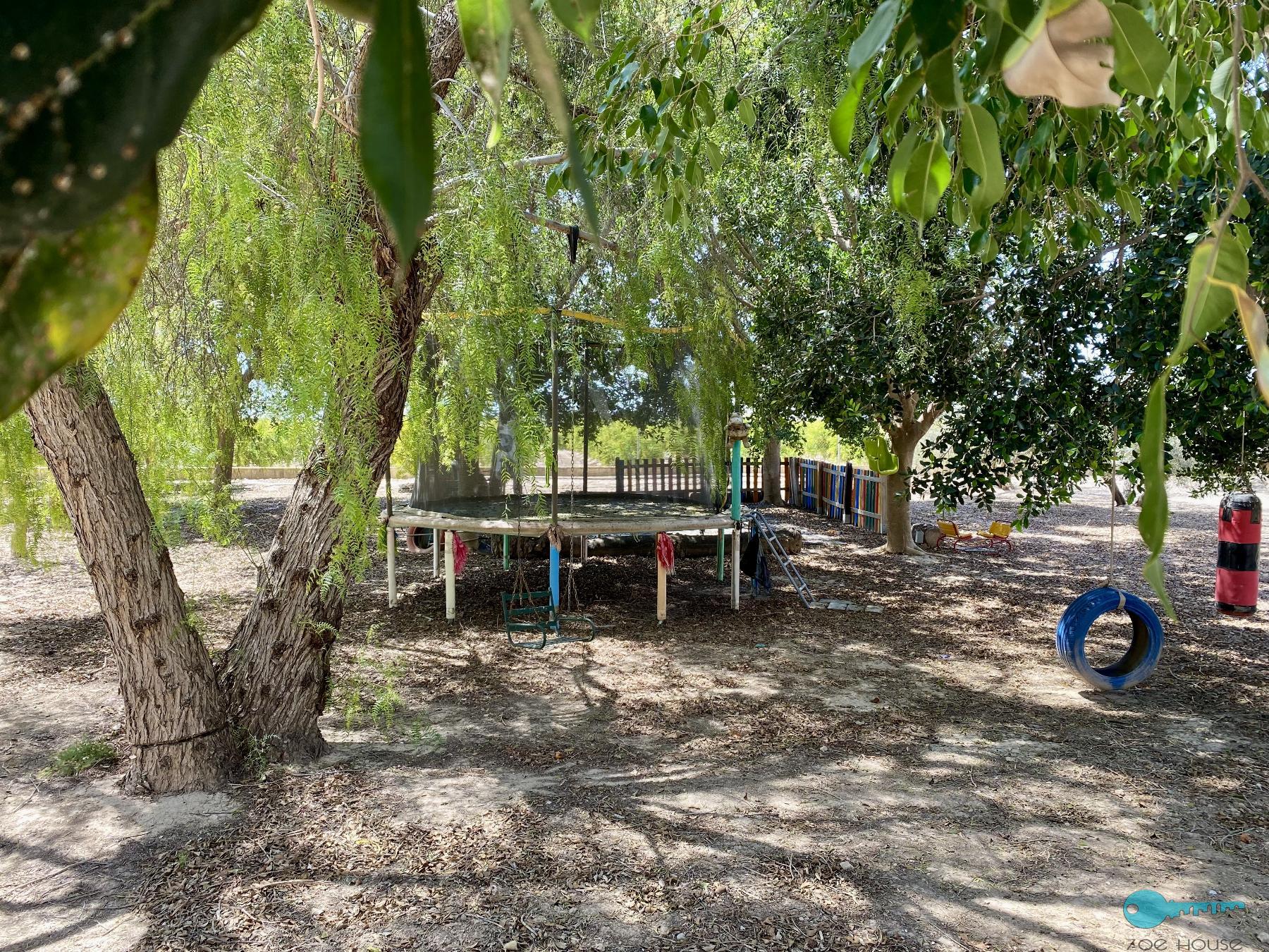 حديقة