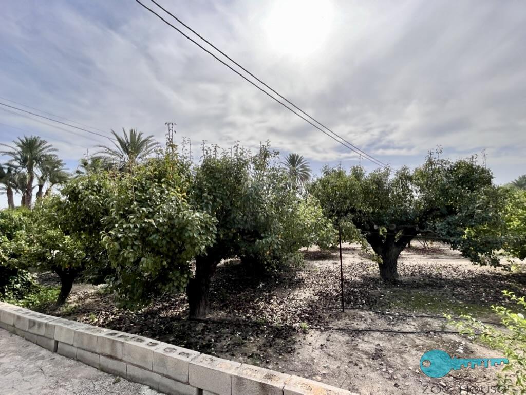 Venta de casa en Elche-Elx