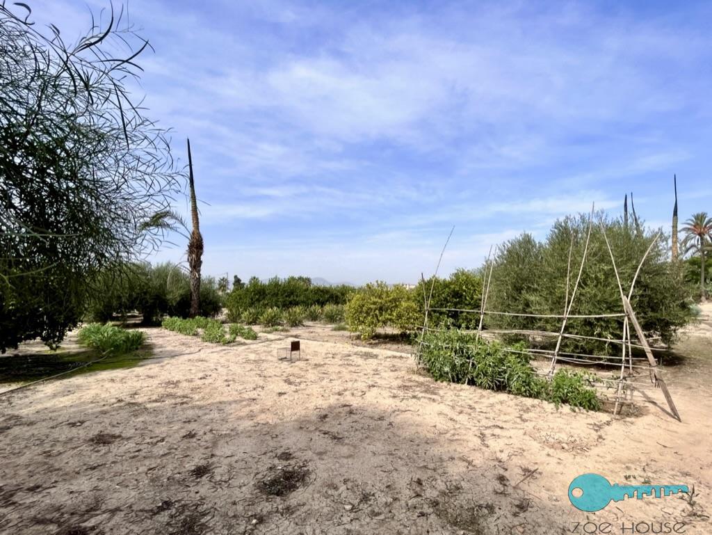 Venta de casa en Elche-Elx