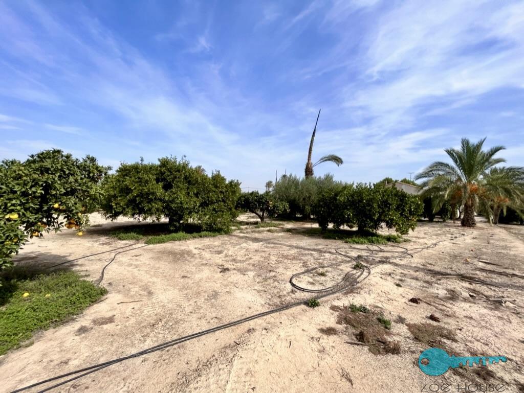 Venta de casa en Elche-Elx