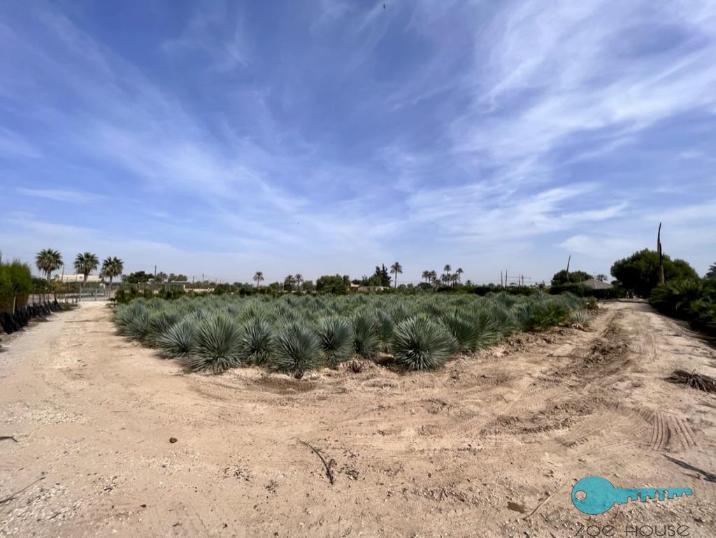 Venta de casa en Elche-Elx