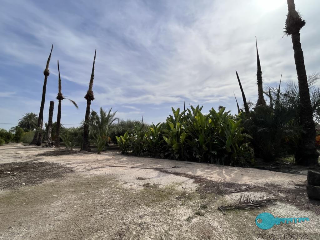 Venta de casa en Elche-Elx