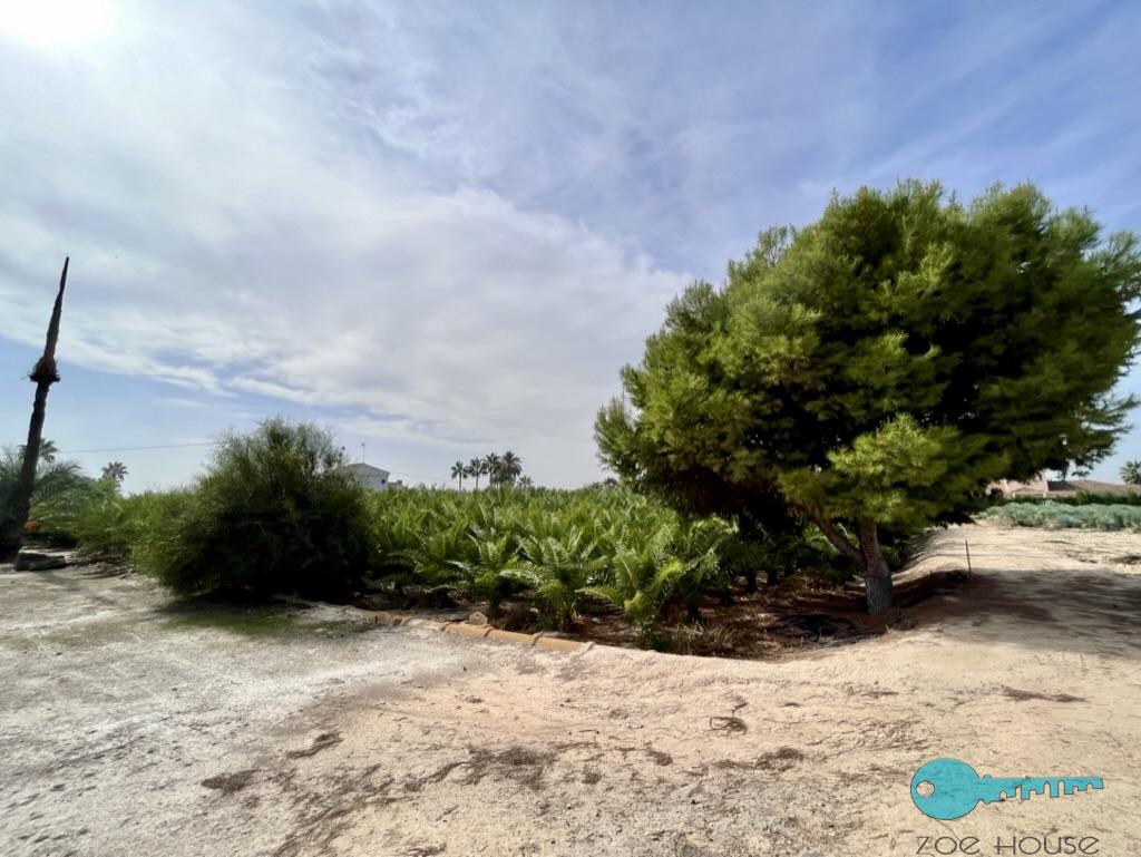Venta de casa en Elche-Elx