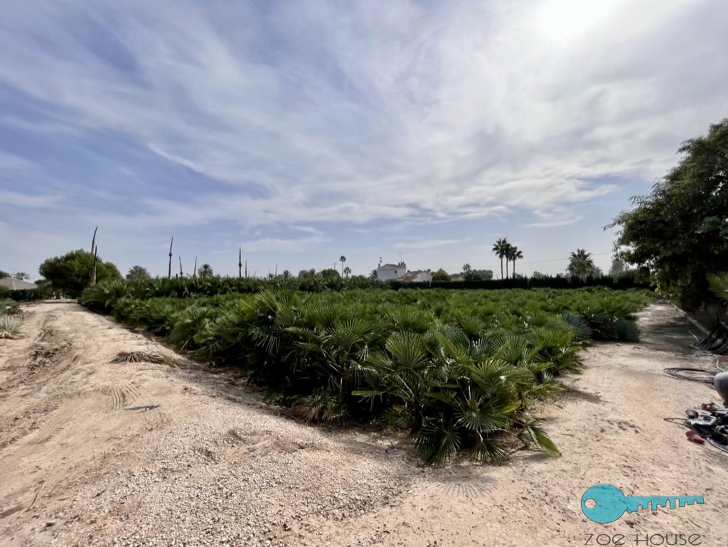 Venta de casa en Elche-Elx