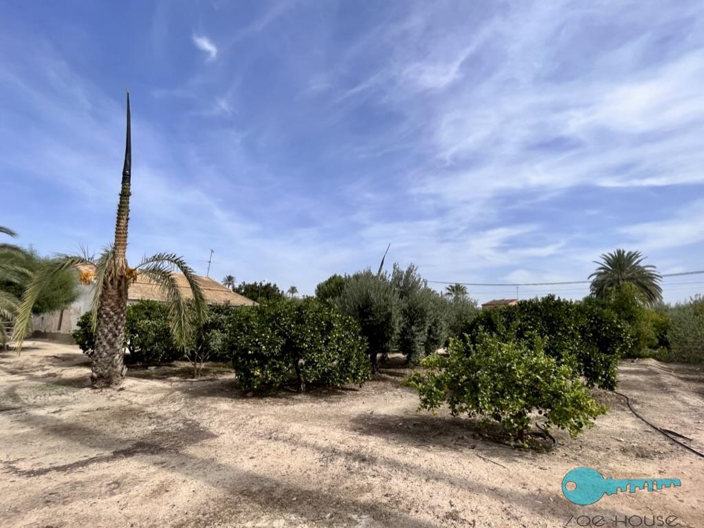Venta de casa en Elche-Elx
